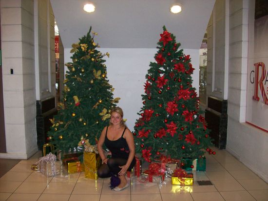 Die ersten Weihnachtsbäume konnten wir auch schon bewundern...ist einfach komisch bei 25-30°