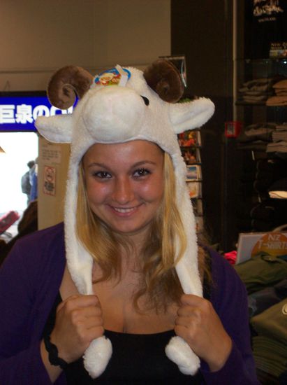 Hier eines dieser Schafe