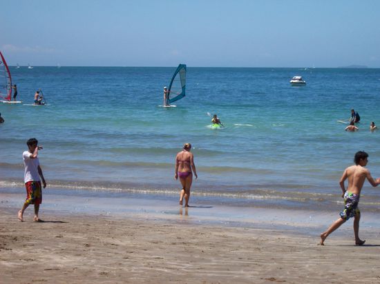 In Auckland (der größten Stadt Neuseelands) ist man innerhalb von 15min aus der Stadt raus und am Strand (wie hier am Takapuna Beach) oder anderweitig in der freien Natur - herrlich!!!