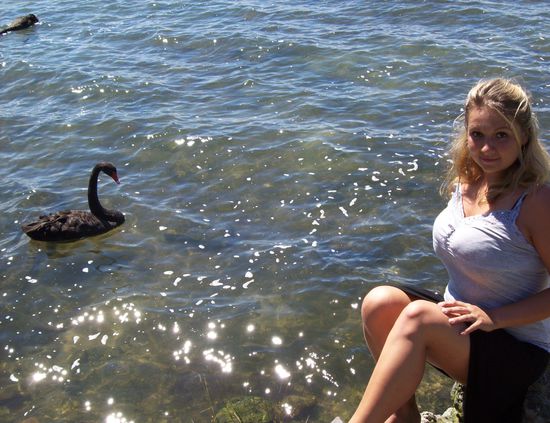 schwarze Schwäne gibts hier auch etliche...