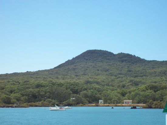 Rangitoto Island