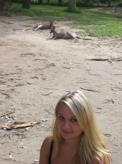 Unsere ersten Kängurus 