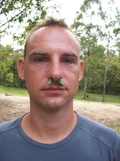 Kein Spaß, sondern ne uralte Aborigine-Methode um die Nase frei zu bekommen. Einfach die Eukalyptusblätter zerdrücken und rollen und dann ab in die Nase.