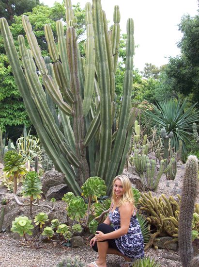 In den Royal Botanical Gardens