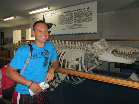 Das ist das Skelett von Old Tom