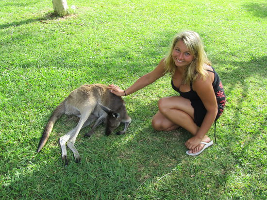 Das ist Josie (Josephine), das hauseigene Känguru