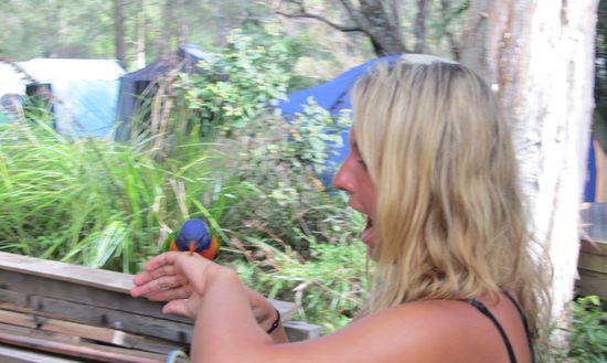 teilweise recht bissig