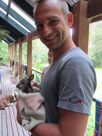 Das ist Bobby, das Wallaby-Waise. Ihre Mum wurde leider überfahren...