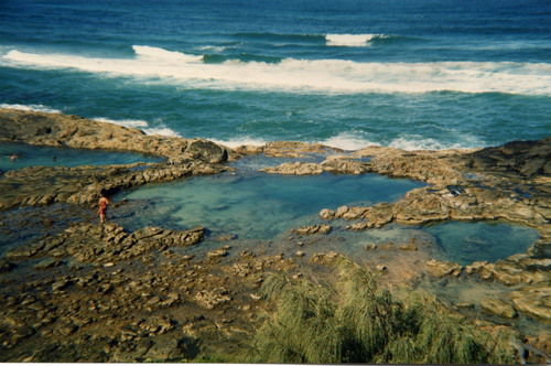 Champagne Pool
Durch die Felsen getrennt vom Meer, bilden sich hier "natürliche" Whirlpools, dadurch dass die Wellen gegen die Felsen schlagen oder so ähnlich
Dies ist der einzige Platz rund um die Insel wo man bedenkenlos und ohne Angst vor Haien in Meerwasser baden kann.