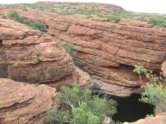 Etwa nach dem halben Weg findet man den "Garden of Eden", der aus Palmenfarnen rund um einen Teich besteht.