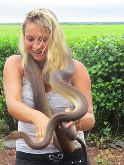 Eine Python als Halskette ist nicht ganz nach Ida`s Geschmack.