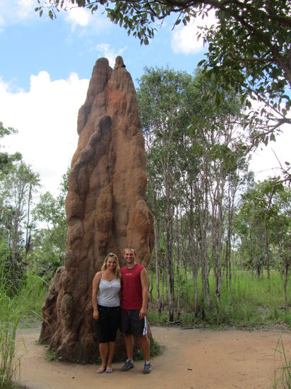 Die Kathedralen-Termiten-Hügel werden bis zu 7m hoch.