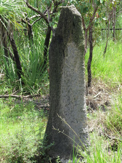 Die Magnetischen-Termiten-Bauten sind perfekt in Nord-Süd-Richtung ausgerichtet.
Sie sind sehr schmal, um eine möglichst gleichbleibende Innentemperatur zu gewährleisten.