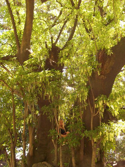 Es gab auch wieder viele Tiere zu sehen...