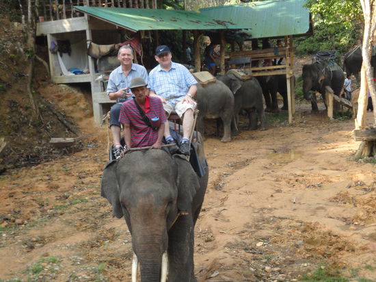 Elefantenreiten im Khao Sok National Park