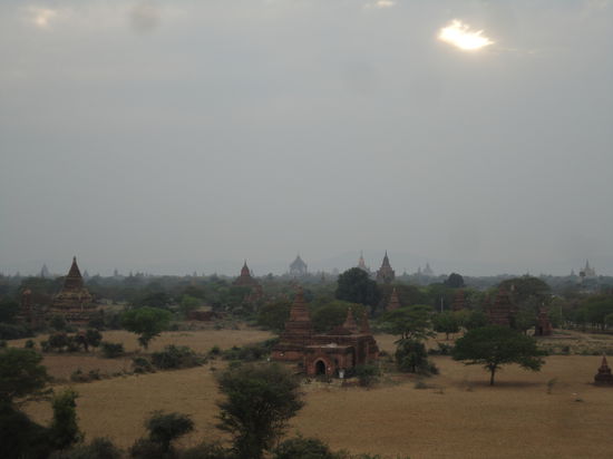 Bei besserem Licht waere das Gesamtbild noch viel besser...