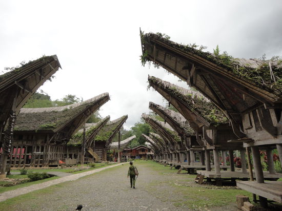 Tana Toraja in Sulawesi