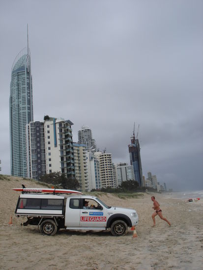 Mänu schwimmt im Meer was für höchste Aufmerksamkeit der Lifeguards erfordert... 
Surfers Paradise