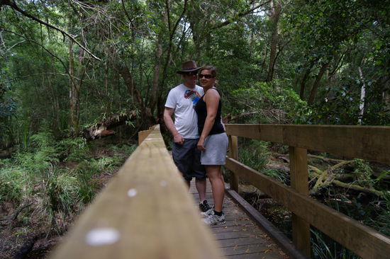 Drummer Rainforest Walk