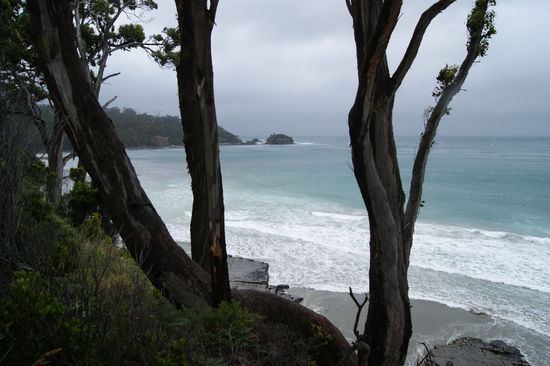 Irgendwo zwischen Hobart und Port Arthur