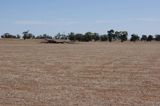 Das Landschaftsbild hat sich radikal verändert... So sieht es nun rundum aus.