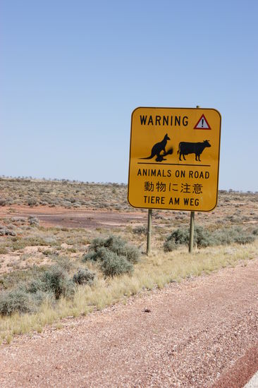 Man beachte die Übersetztung 