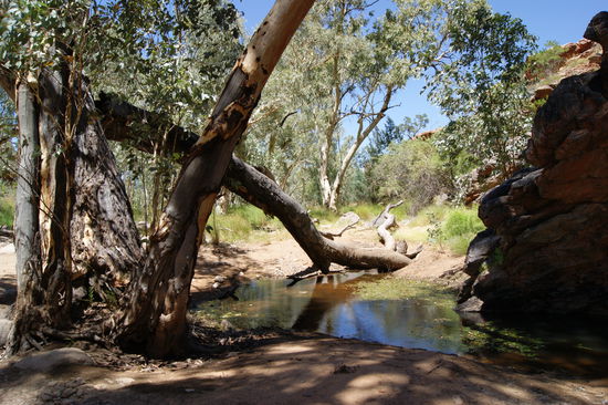 Serpentine Gorge