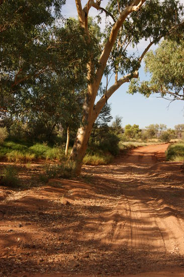 Typische Piste; zum Glück haben wir 4WD