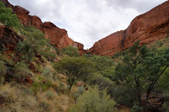 Kings Canyon