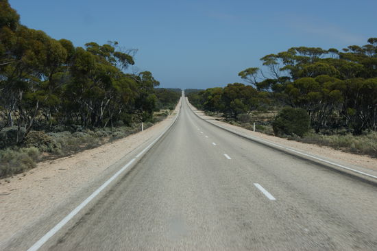 Ein Backstein auf dem Gas hätte unsere Fahrt wesentlich vereinfacht... 