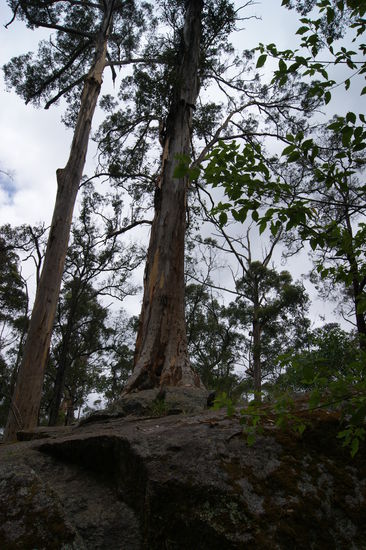 Porongurup NP