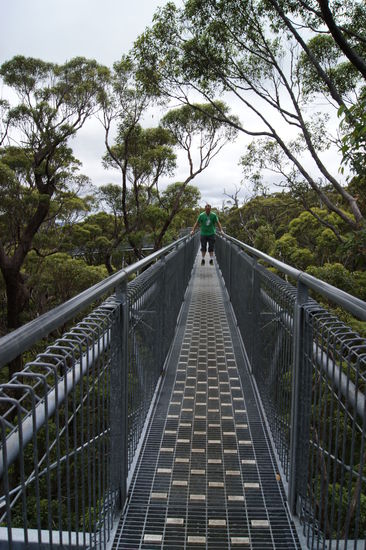 Walpole-Nornalup Nationalpark