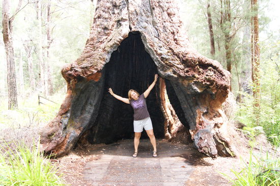 Walpole-Nornalup Nationalpark