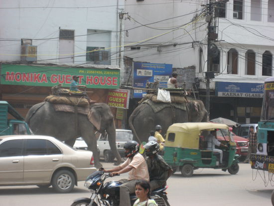 So hat man zumindest alles von oben im Blick...