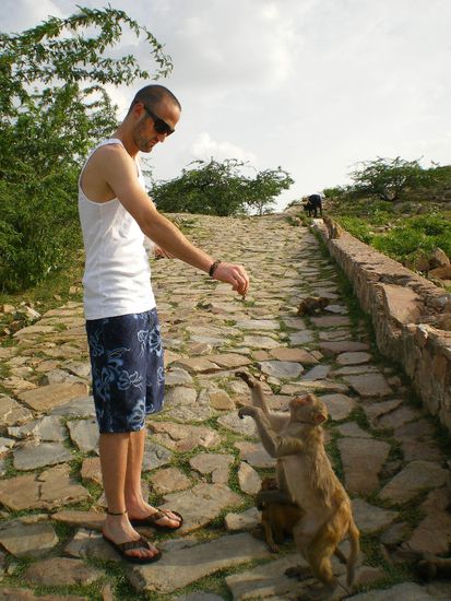 Auf dem Weg dorthin bei der Fuetterung mit Nuessen