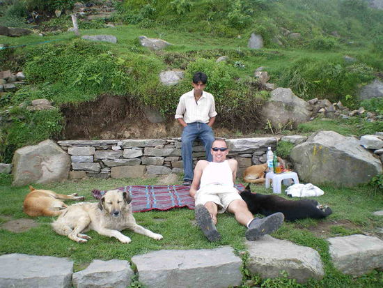 Gexe, unsere Hunde und Rash beim Chillen