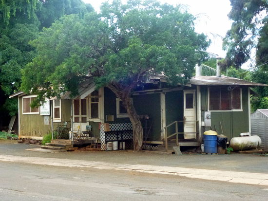 Hier soll es die besten Taro Chips geben. Ich kann das nicht bestätigen, denn mir schmecken die nicht. Der Inhaber macht jeden Tag eine bestimmte Menge und wenn die verkauft ist, schließt er den Laden.