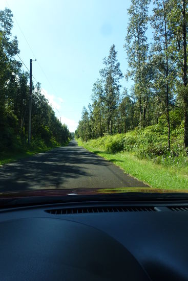 Forest Road
