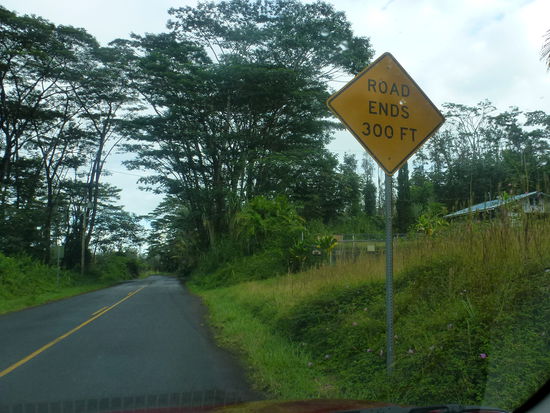 Forest Road - gleich geht es links in  die Seaview Road