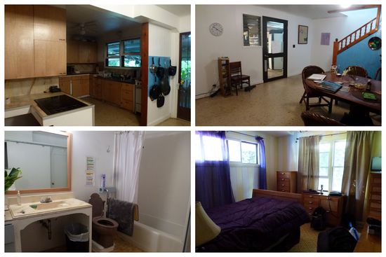 Auf den Bildern sieht es richtig gut aus.