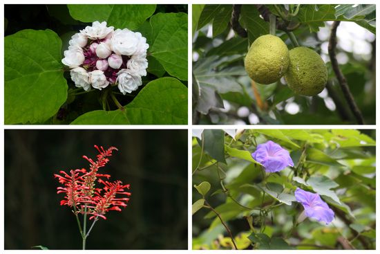 Das Gleiche gilt für diese hier.