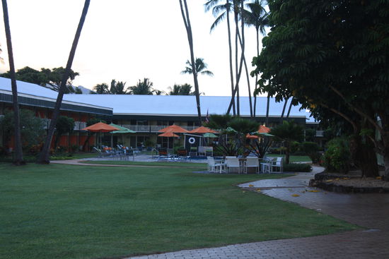 Pool und Barbecue Bereich