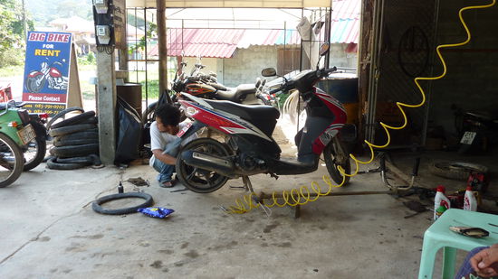 Da steht er der Kleine, fast wieder ganz.