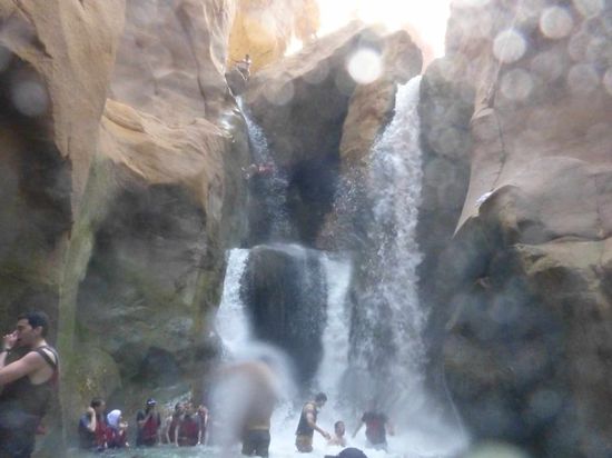 .... und so von unten. Leider nicht so gut geworden, der Unterwasserbeutel schluckt doch eine Menge Licht, ausserdem war die Linse ständig von dem Wassernebel beschlagen. Sorry