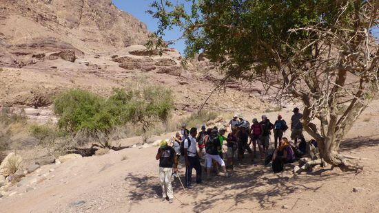 Ein kleiner Sprung in die Dana Nature Reserve. Eine französische Wandergruppe  steht staunend um uns herum. Einen Basset namens Brasli haben sie hier noch nie gesehen......