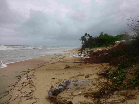 Der Traumstrand von Benaulim - er ist sonst 100 bis 200 m breit und hat feinsten Sand... So sieht es leider wenig einladend aus... na gut, ich war wenigstens mal da