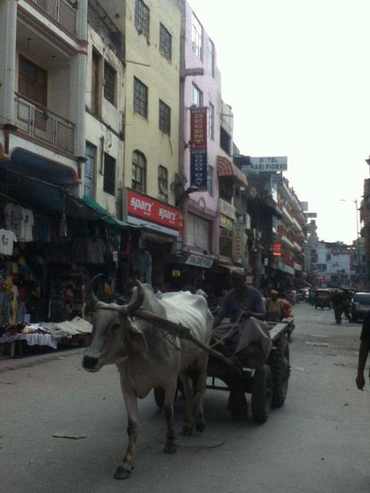 in der Stadtmitte von Neu Delhi