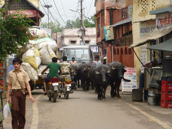 alle Verkehrsmittel auf einen Blick - am Chowk Kagzi in Agra