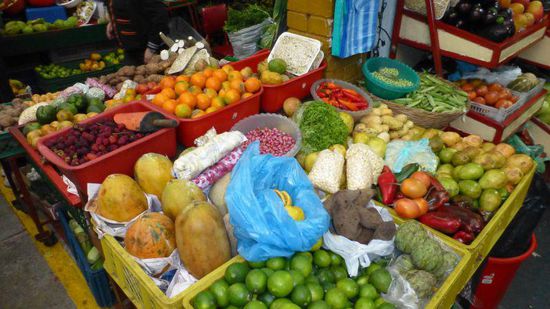 alles unbekannte Früchte....