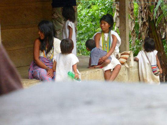 das ganze Gebiet gehört den Indios, die auch die Guides stellen und die Camps betreiben